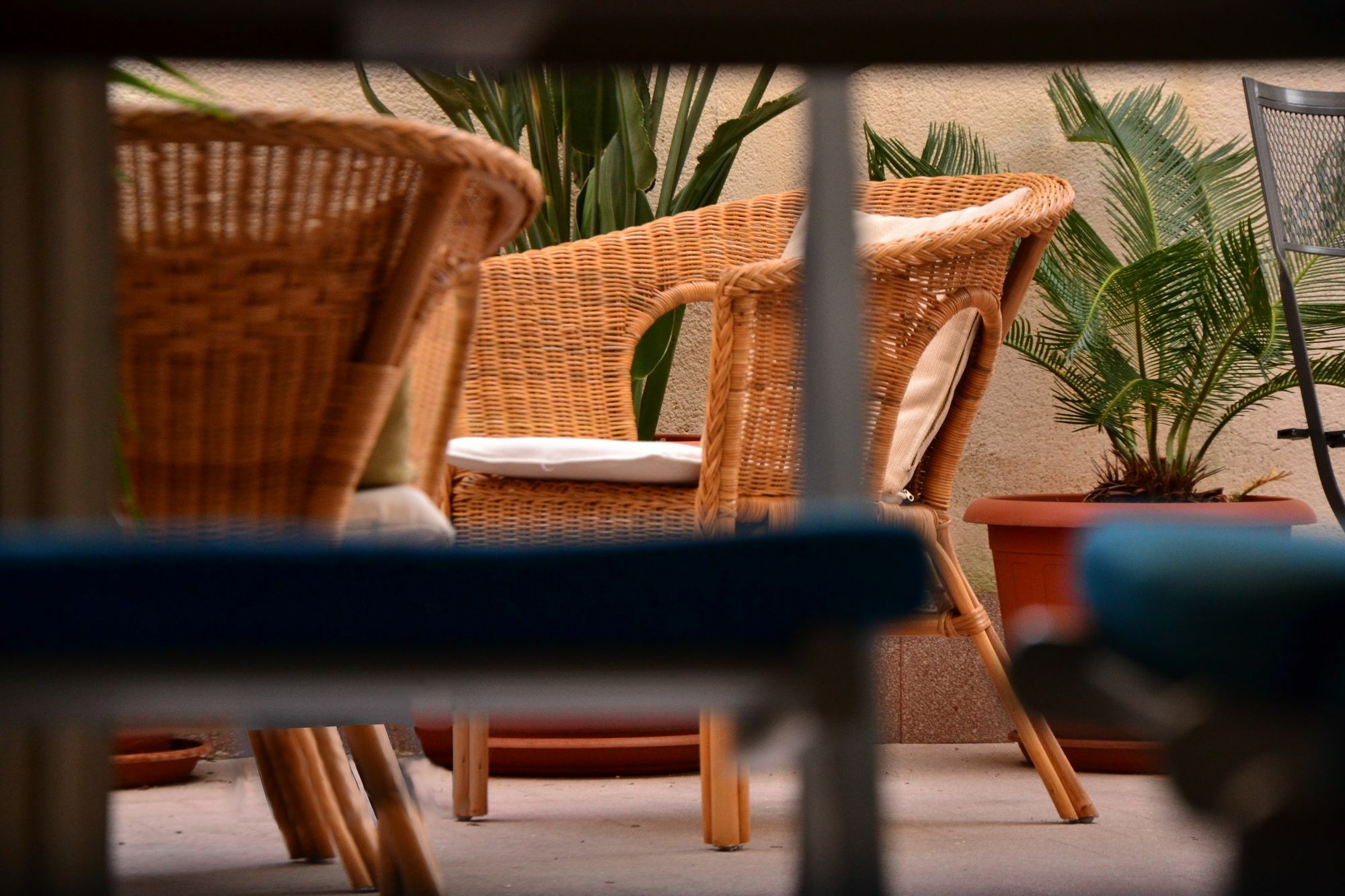 Il Lapino Hotell Palermo Eksteriør bilde